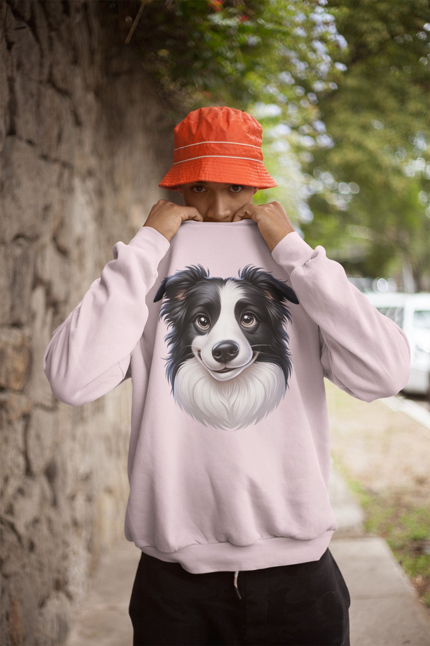 Border Collie Black & White Cartoon Design Crewneck Sweatshirt