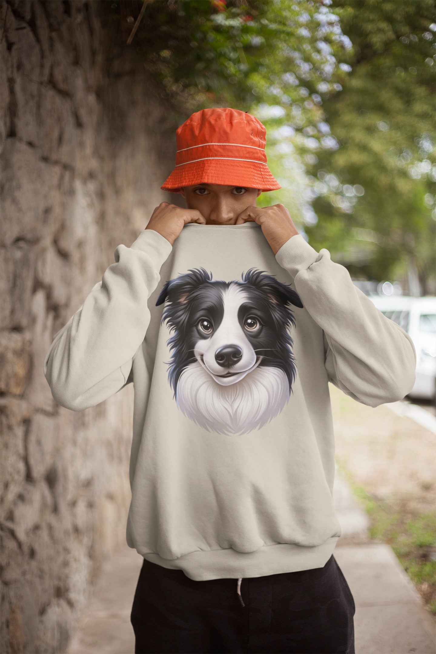 Border Collie Black & White Cartoon Design Crewneck Sweatshirt